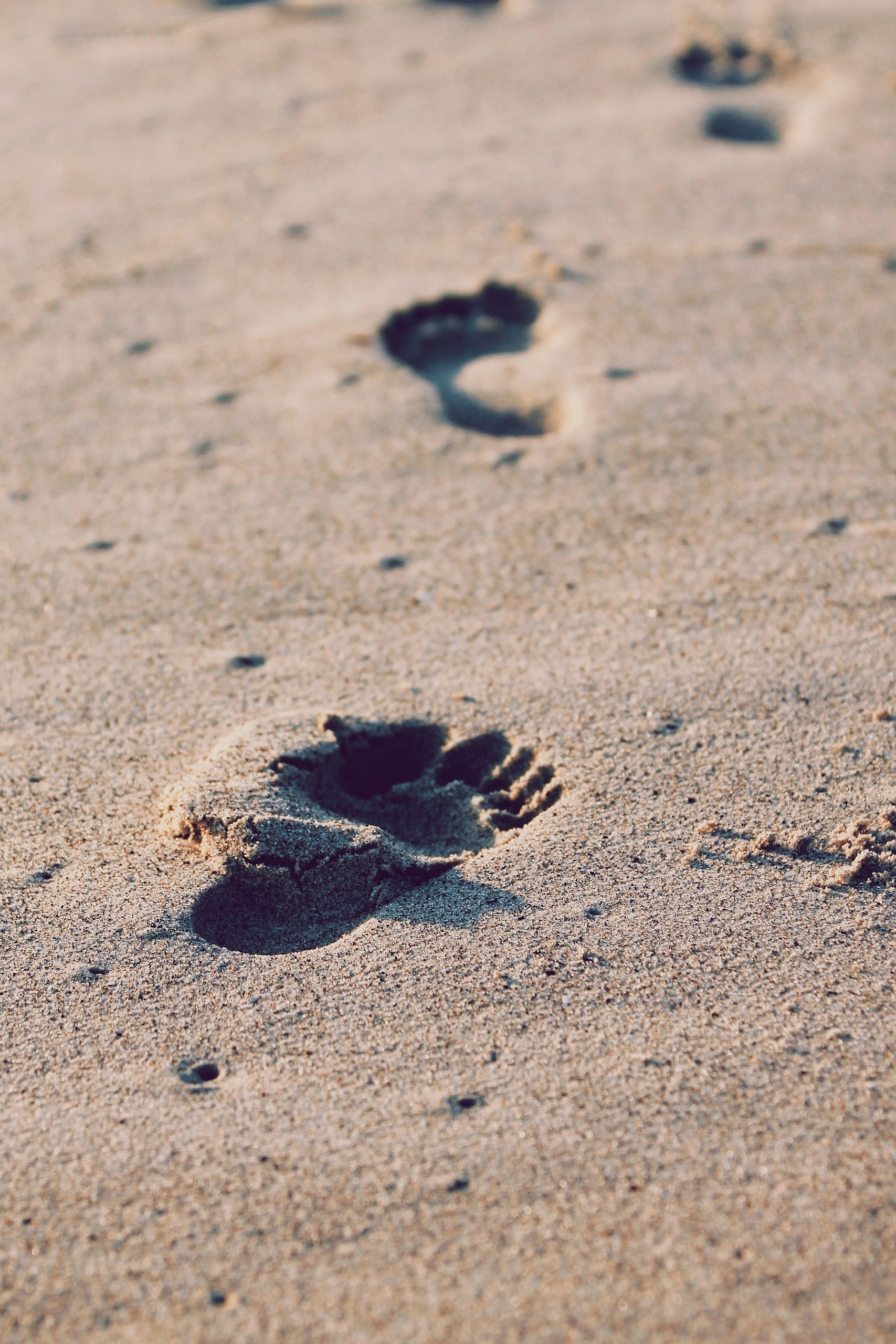 Empreintes de pieds dans le sable